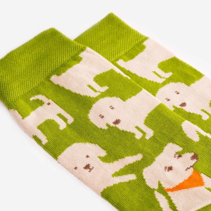 Шкарпетки Dodo Socks Brovko