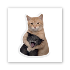 3D-стікер "Cat Cuddles"