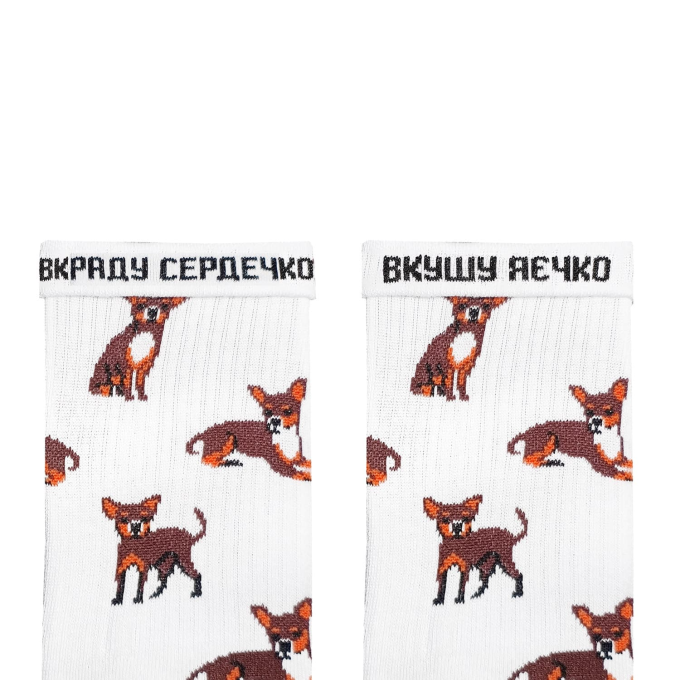 Шкарпетки Дід Носкарь Чихуахуа
