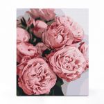 Картина по номерам «Пионовидные розы»