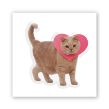 3D-стікер "Love Meow"