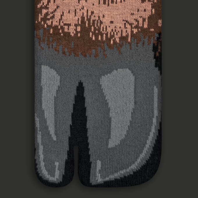Шкарпетки CEH Tabi Horse Hooves