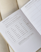 Планер QISO лате