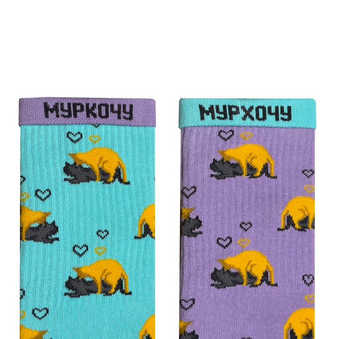 Носки Дед Носкарь Котики-любовники