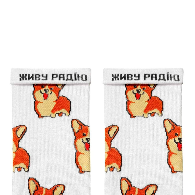 Носки Дед Носкарь Корги белые 