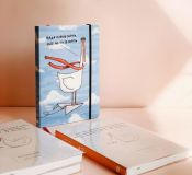 Планер "Гусь Організований"