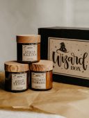 Соевая свеча по мотивам Гарри Поттера "Holidays in Hogwarts"