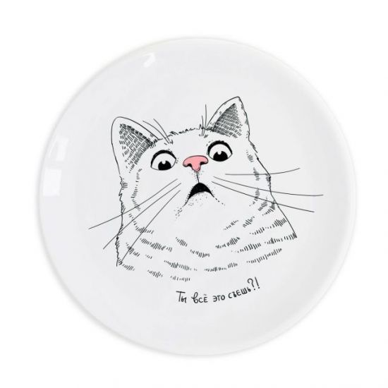Тарелка "Удивленный кот"