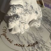 Набор для создания 3D слепка рук для двоих