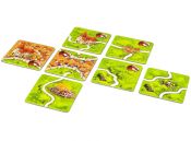 Каркассон: Принцеса і дракон