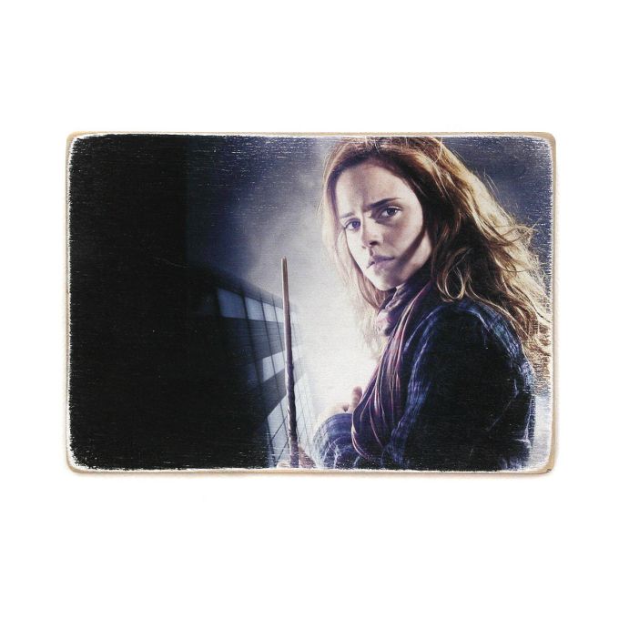 Дерев'яний постер "Harry Potter # 2 Hermiona"