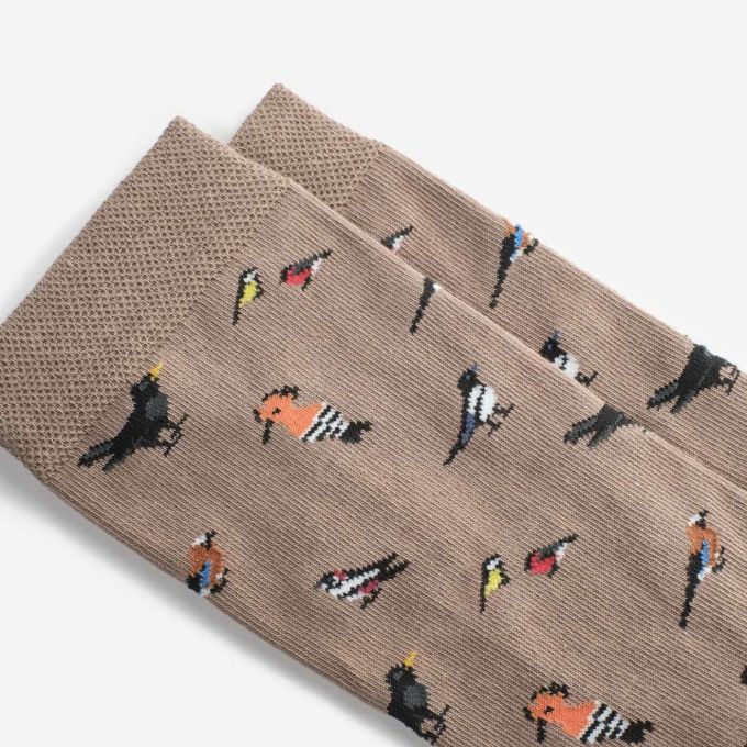Шкарпетки Dodo Socks Птахи