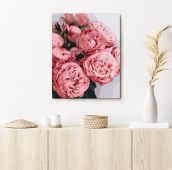 Картина за номерами «Піоновидні троянди» Картина за номерами «Піоновидні троянди»