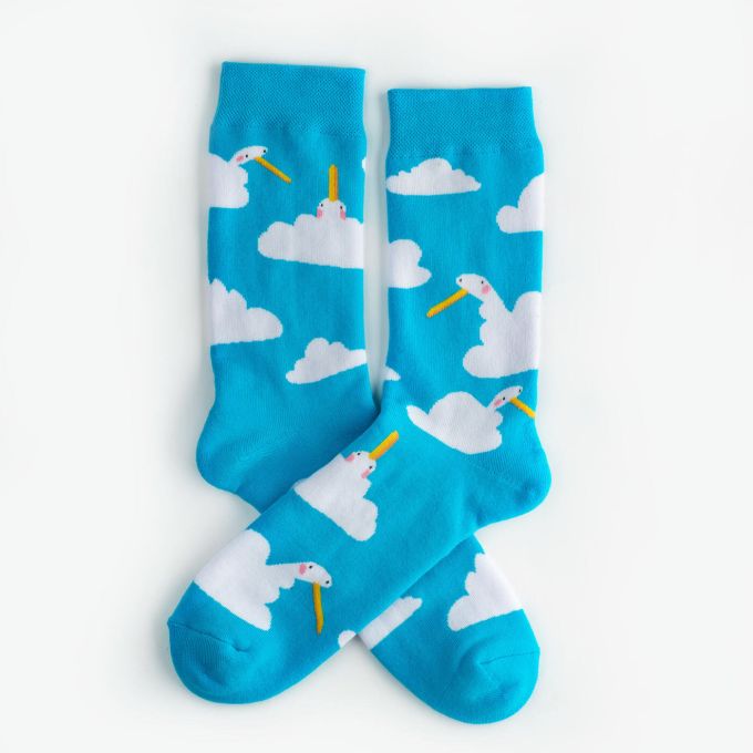 Шкарпетки Dodo Socks Гусь Бокс