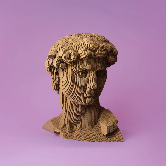 Картонний 3Д пазл "David"