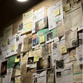 Тень Гластенбери