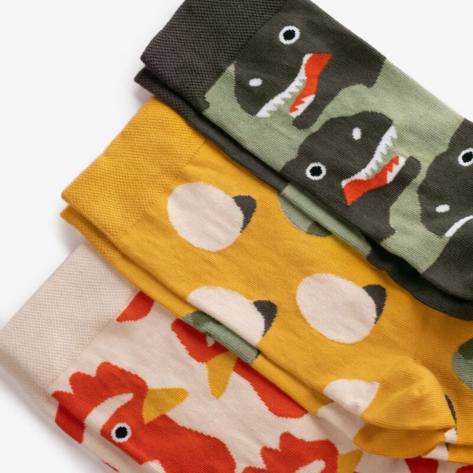 Dodo Socks Набор Evolution