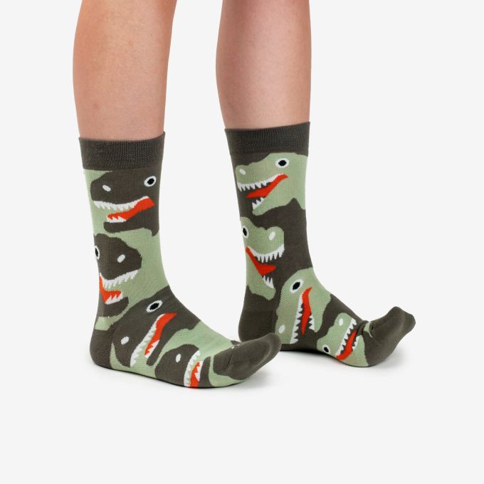Dodo Socks Набор Evolution
