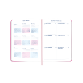 Мініпланер "I HAVE ABSOLUTELY NO PLAN mini" рожевий