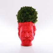 Арт-вазон "Эйнштейн" (красный)