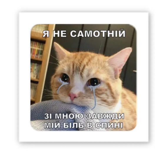 3D-стикер "Одинокий кот"