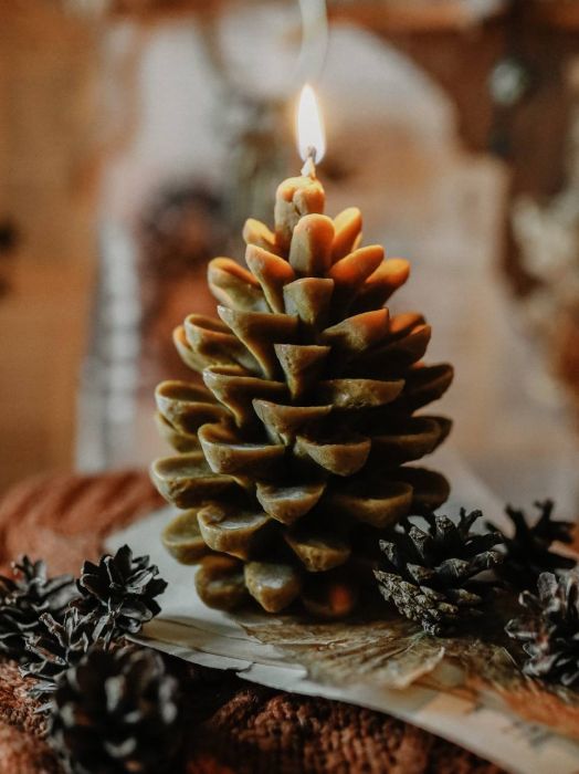 Пчелиная свеча-шишка (коричневая) Пчелиная свеча-шишка (коричневая)