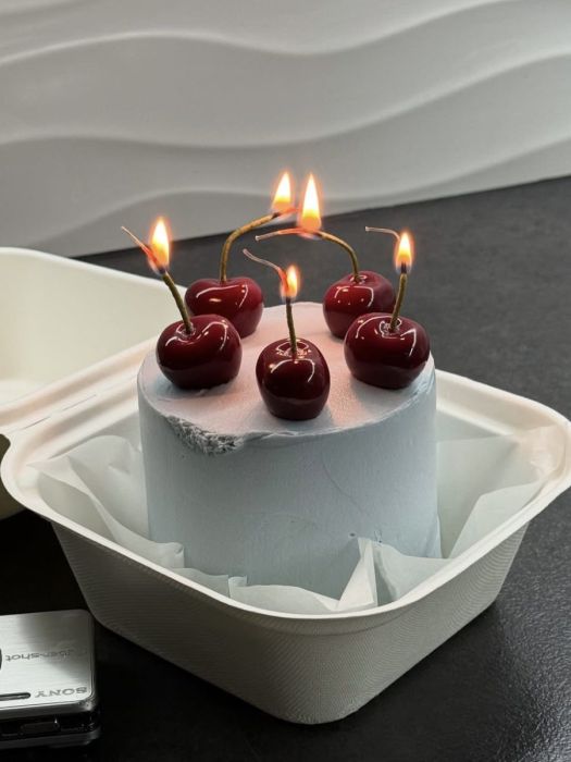 Бджолина свічка Вишні