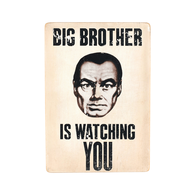 Дерев'яний постер "Big Brother is watching You"