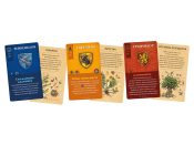 Кодові імена: Назад у Гоґвортс (Codenames: Back to Hogwarts)