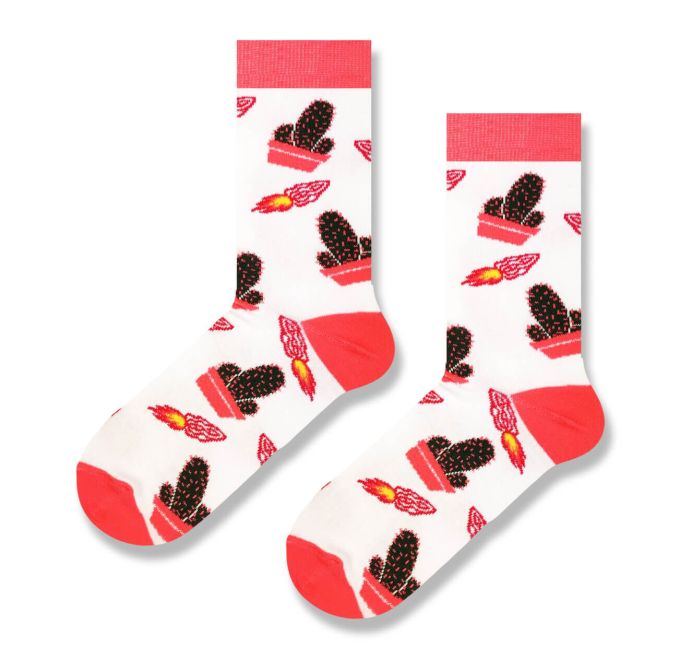 Шкарпетки SOX Кактус 