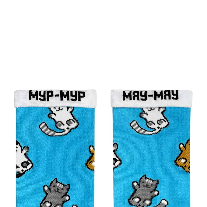 Шкарпетки Дід Носкарь Kitten Blue