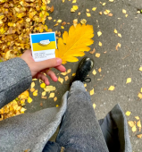 Значок "Колосок"