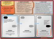 Доповненння Тераформування Марса. Криза (Terraforming Mars: Turmoil)