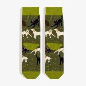 Шкарпетки Prizmo Лабрадори