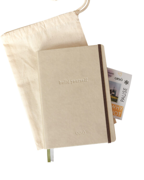 Планер QISO лате