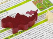 Каркассон: Принцеса і дракон