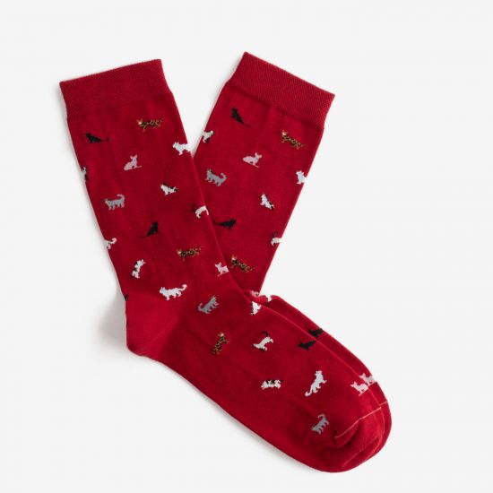 Носки Dodo Socks Коты