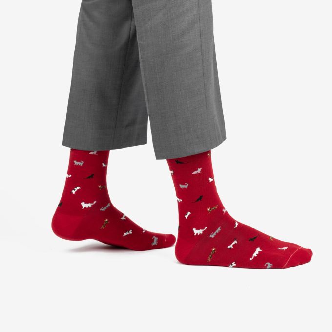 Носки Dodo Socks Коты