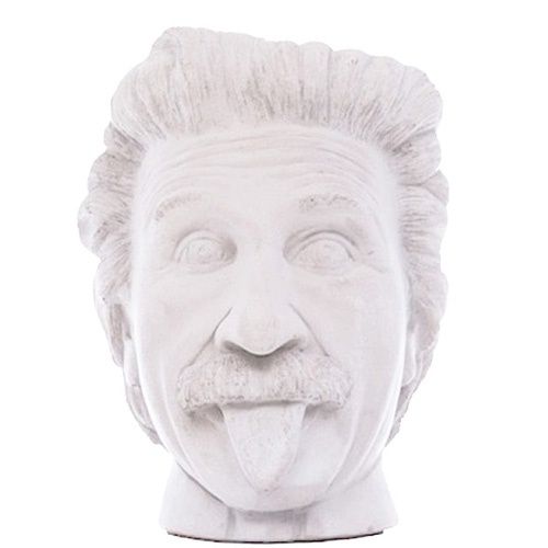 Арт-вазон Эйнштейн (белый)