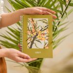 Планер QISO на полгода Облипиха