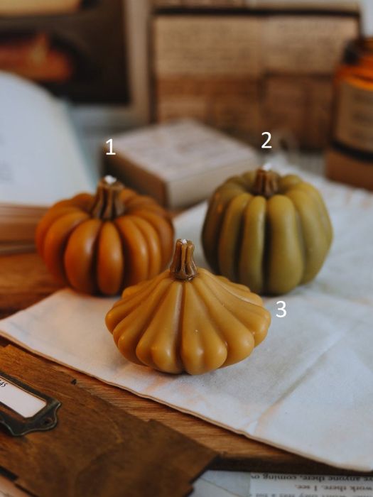 Пчелиная свеча--тыква цветная