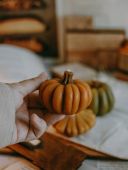 Пчелиная свеча--тыква цветная