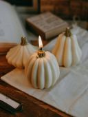 Пчелиная свеча--тыква белая