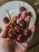 Бджолина свічка Вишні