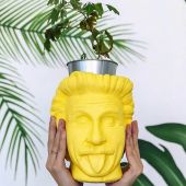 Арт-вазон "Эйнштейн" (желтый)