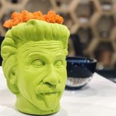 Арт-вазон "Эйнштейн" (салатовый)