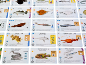 Рибокрай (Finspan)