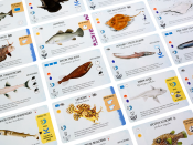 Рибокрай (Finspan)