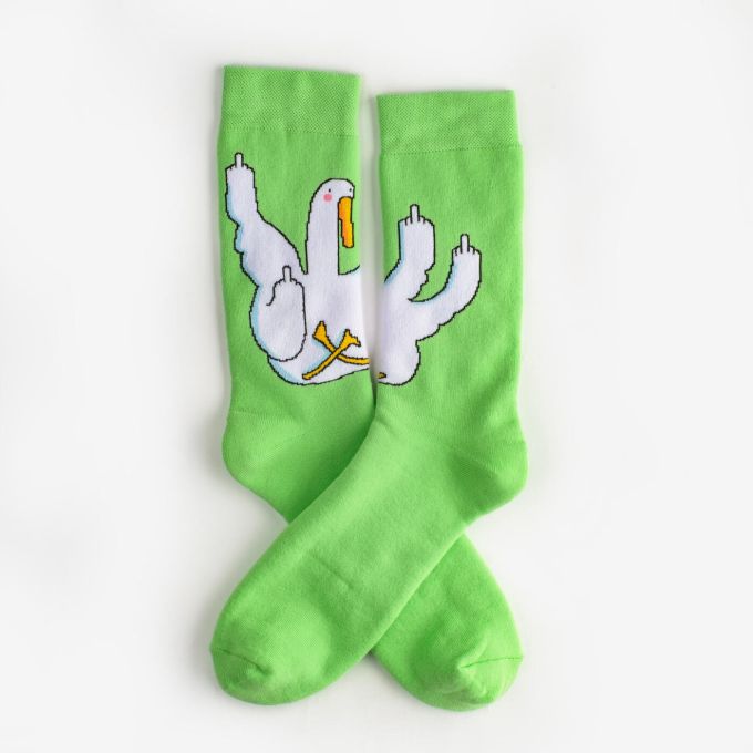 Шкарпетки Dodo Socks Гусь Бокс