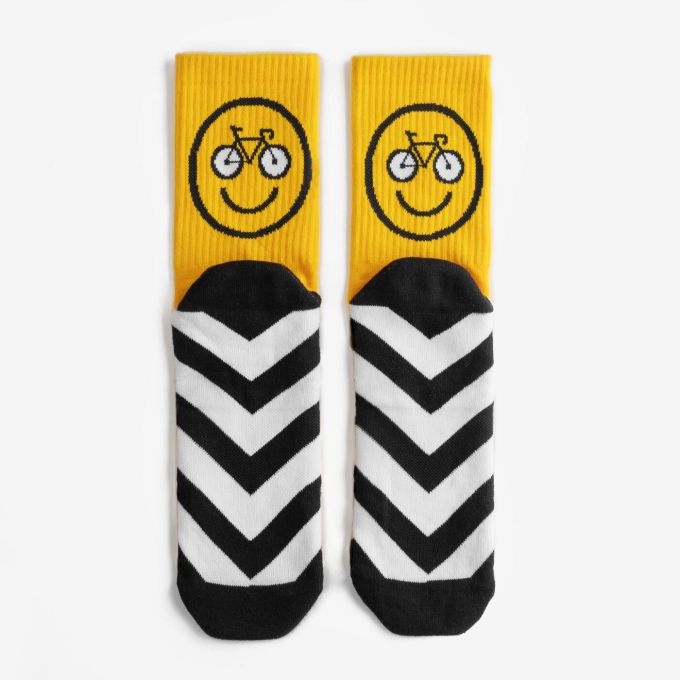 Шкарпетки Dodo Socks Rover